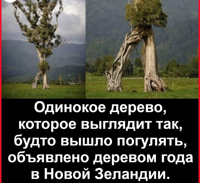 Немного мемов и картинок в пятницу