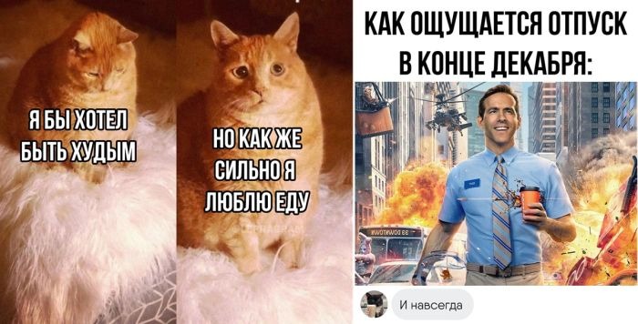 Лучшие приколы — новые смешные мемы