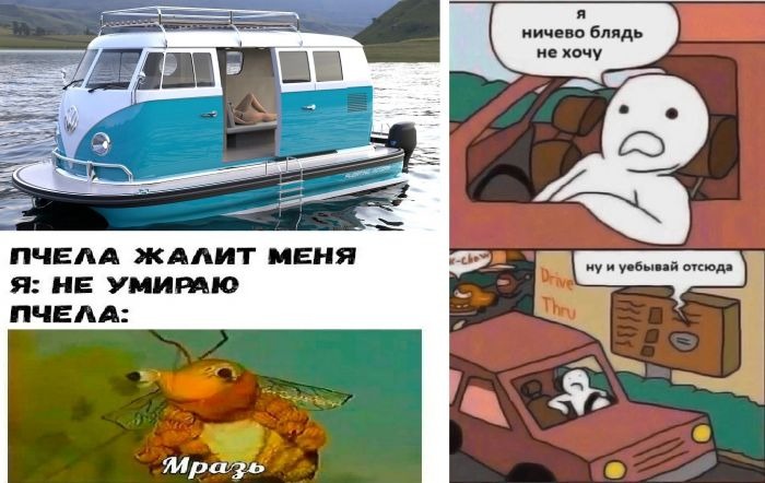 Подборка веселых фотографий и смешных мемов