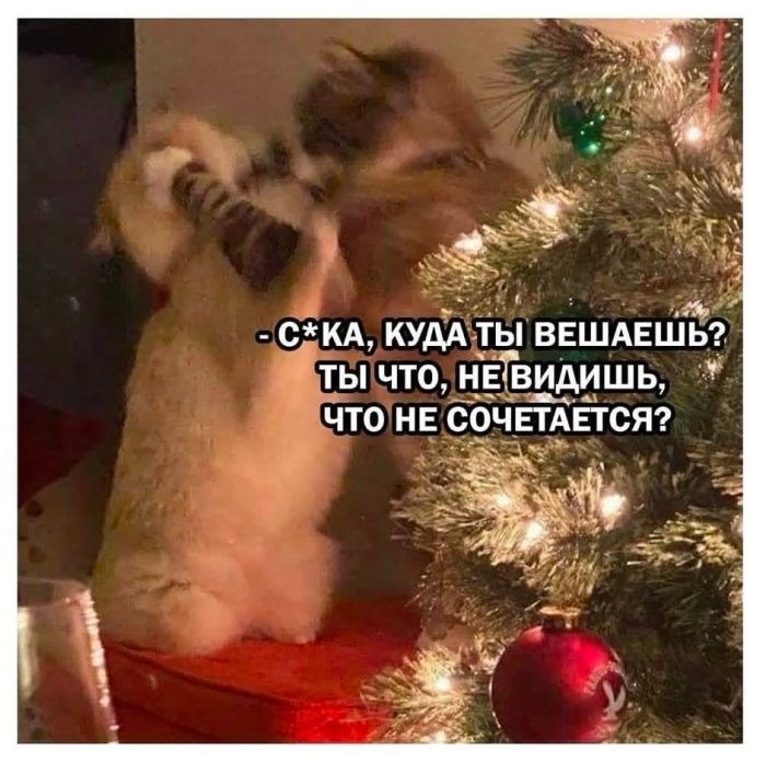 Новый юмор и приколы в картинках и мамах