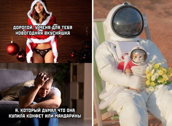 Картинки и фотографии прикольные новые смешные