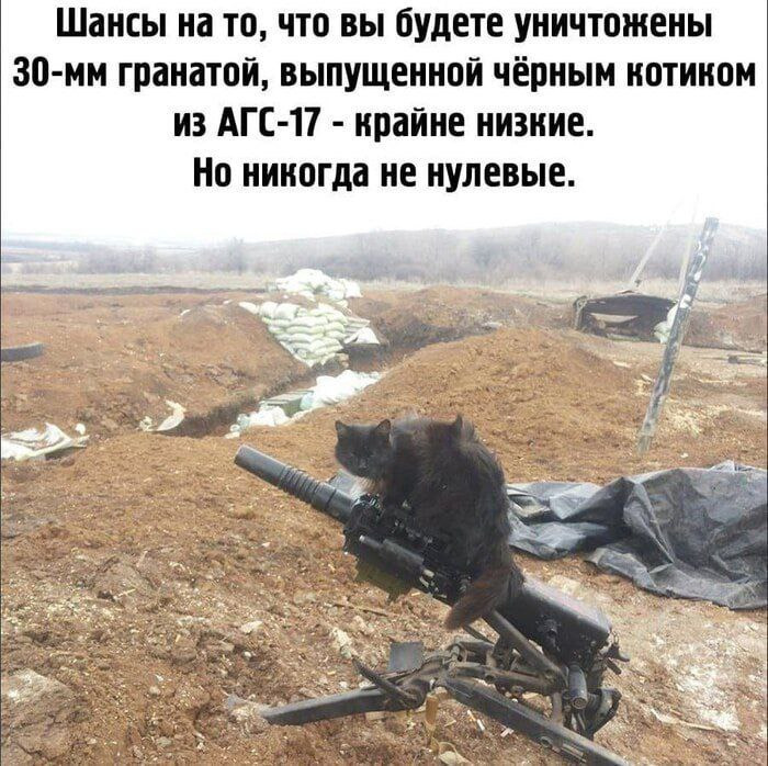 Смешные картинки с надписями для поднятия настроения - Много позитив