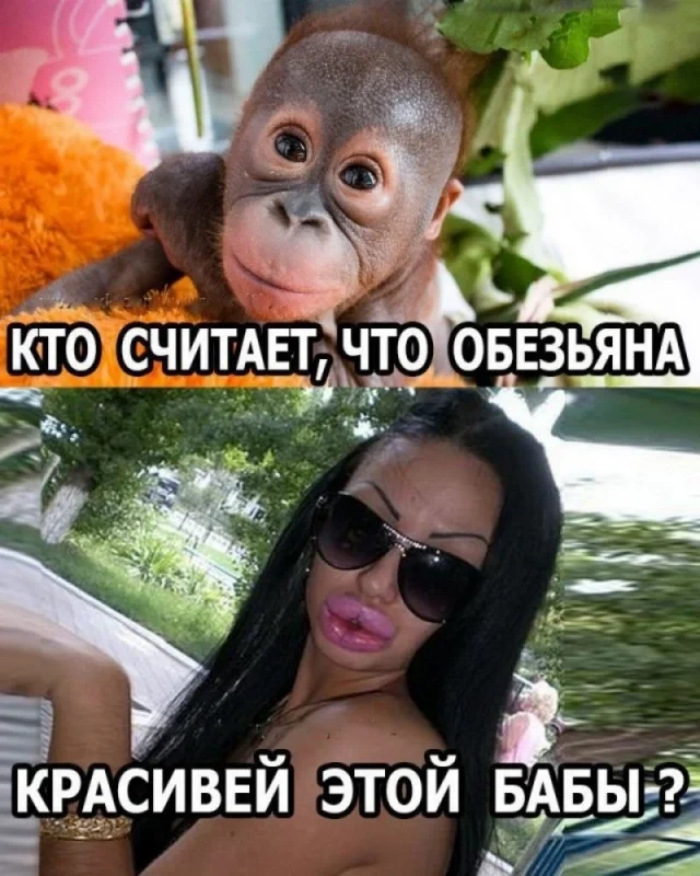 Дичь? Да!