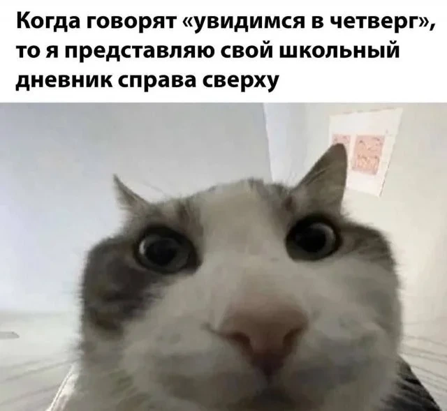 Смешные скрины из соцсетей #58