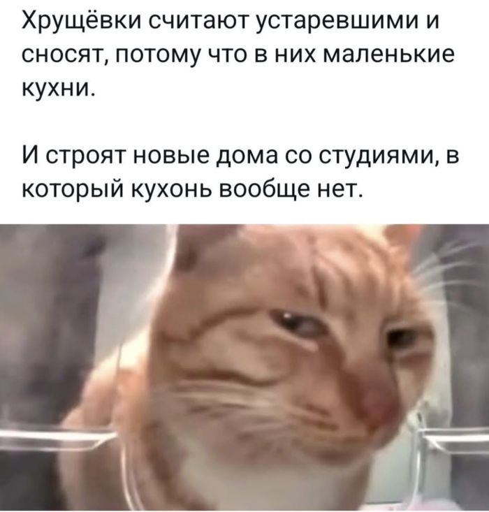 Приколы в мемах и веселые картинки с надписями