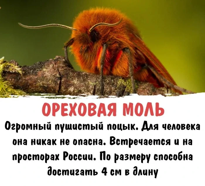 Интересная биология #90