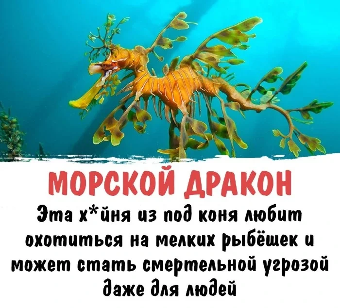 Интересная биология #91