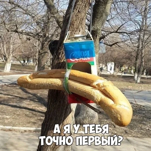 Хорошенько деградируем