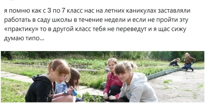 Летняя школьная практика: ценная школа жизни или пустая трата времени?