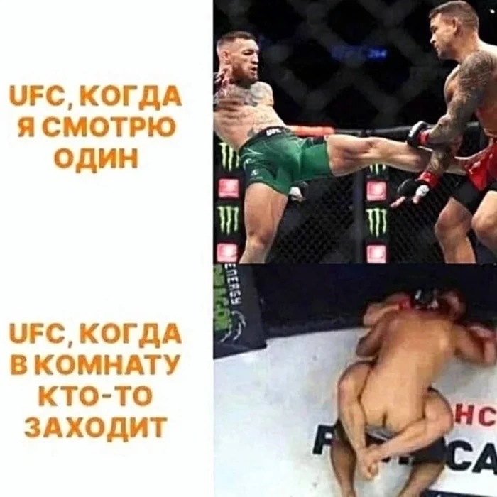 Нестандартный юмор #424