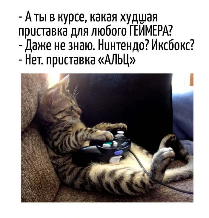 Игра слов #98