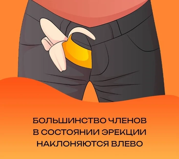Сексуальная правда: 15 фактов, которым не научат в школе #102