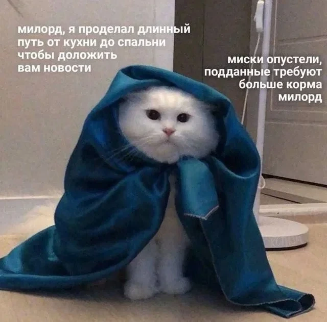 Смешные скрины из соцсетей #91