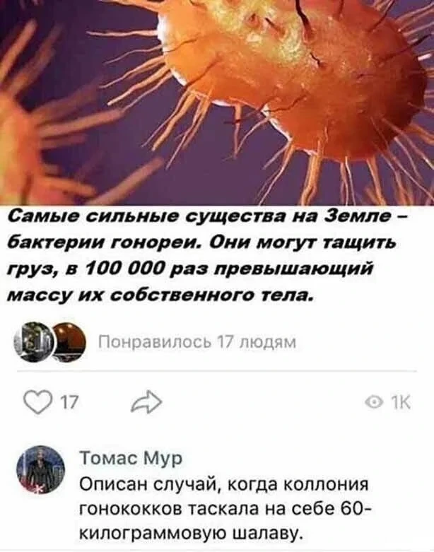 Нестандартный юмор #454