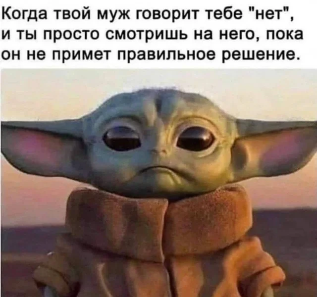 Стырено из ТГ: Картинки