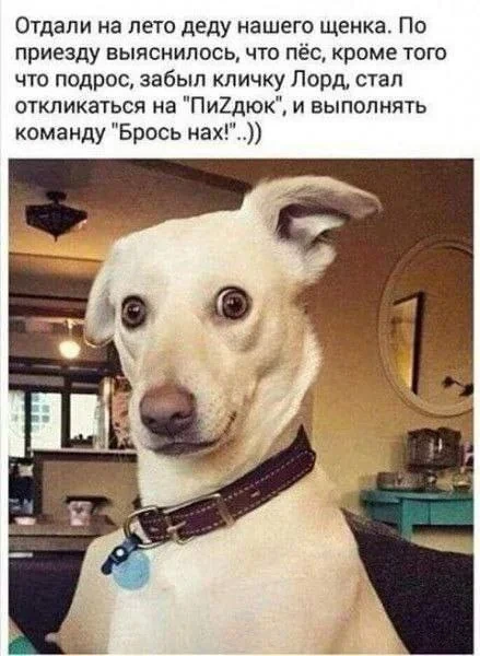 Деграднем? Конечно!